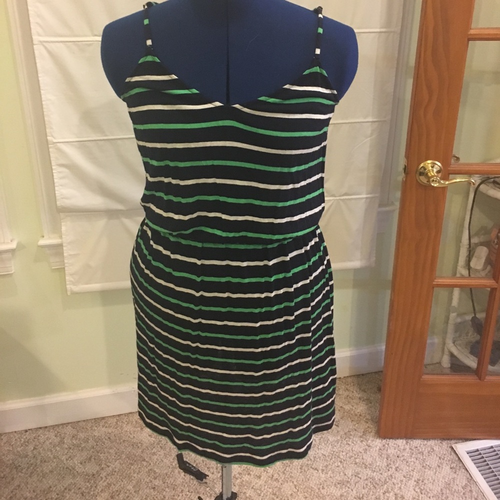 JCrew Striped Knit Dress