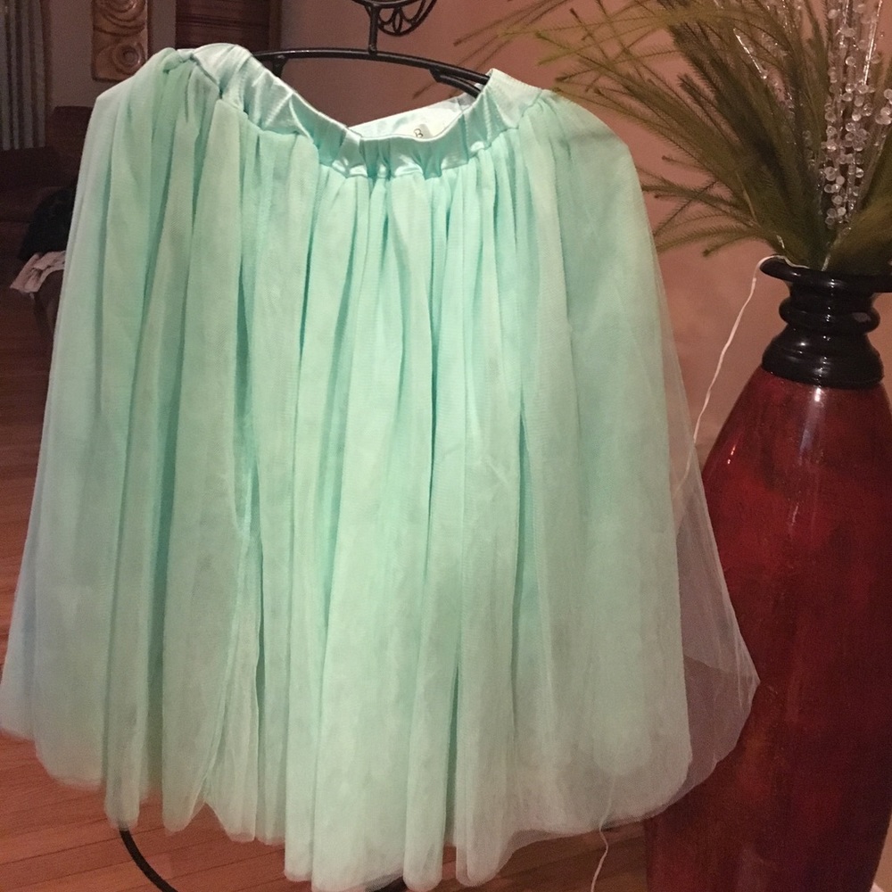 Mint Green Tulle Skirt