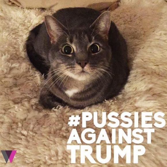 Meet your Posher, Sophia - Picture 2 of 2