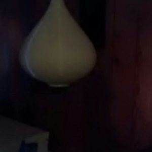 Meet your Posher, Zelda