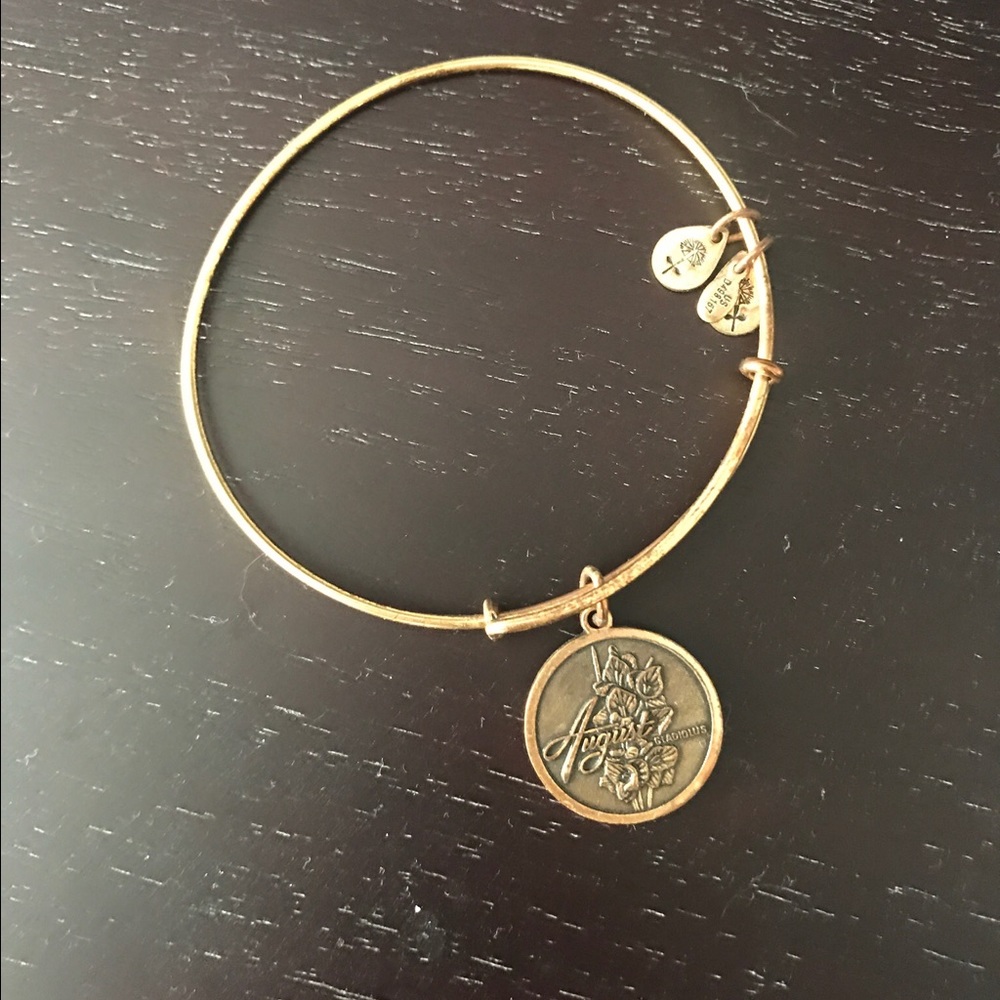 Alex & Ani 'August' charm bracelet