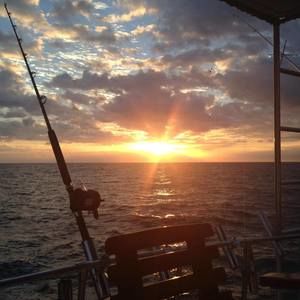 Meet your Posher, Rick