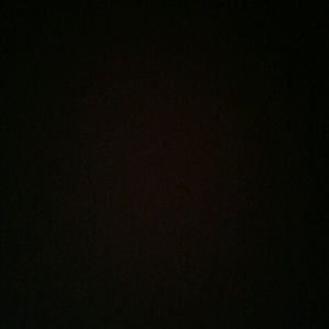 Meet your Posher, Paige