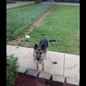 Meet your Posher, Lynn