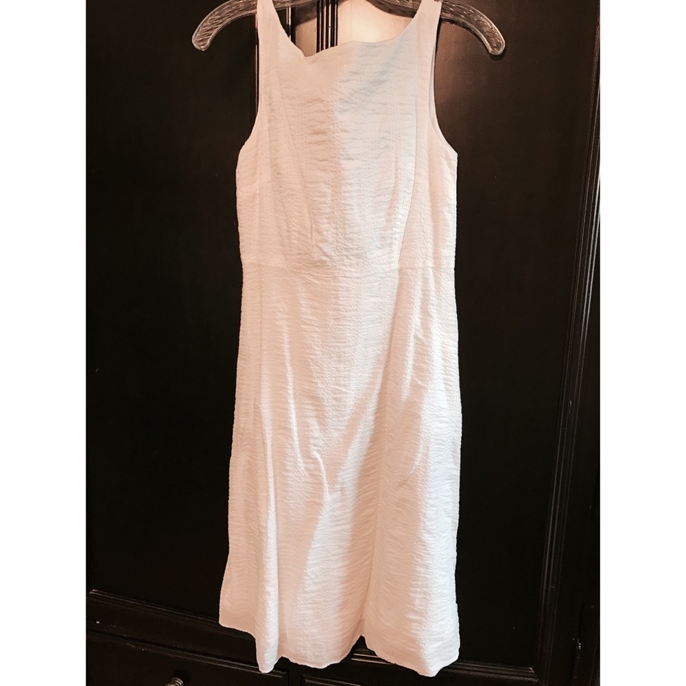 JCrew White Dress, princess seams, midi