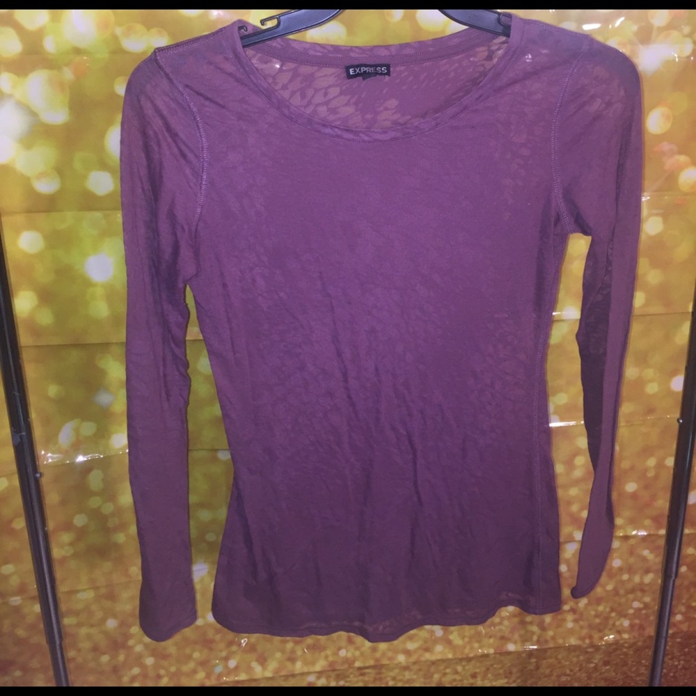 A long sleeve sheer top