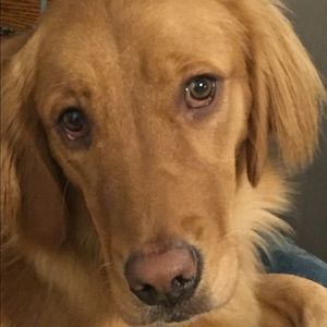 Meet your Posher, Patti