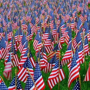 Meet your Posher, Vincent