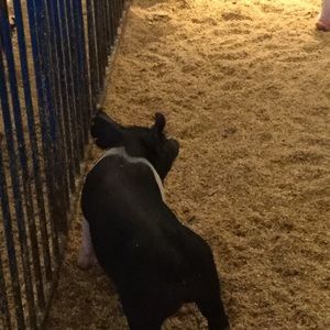 Meet your Posher, Jonathan