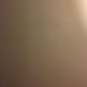 Meet your Posher, Lanita