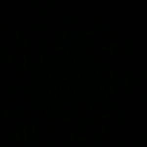 Meet your Posher, Carine