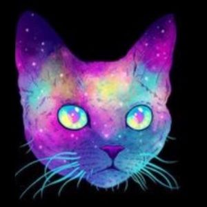 Meet your Posher, Ava