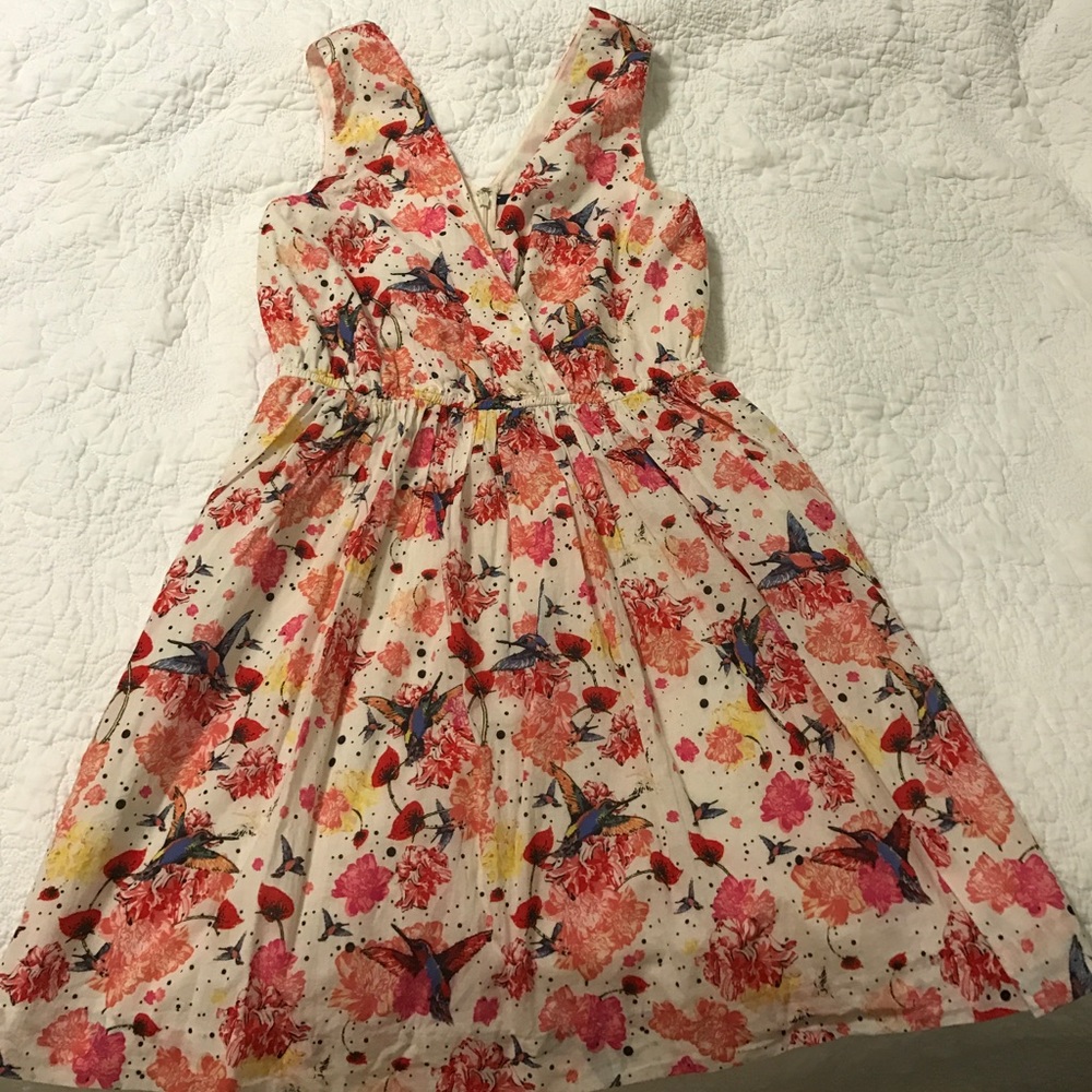 Artsy Hummingbird Dress