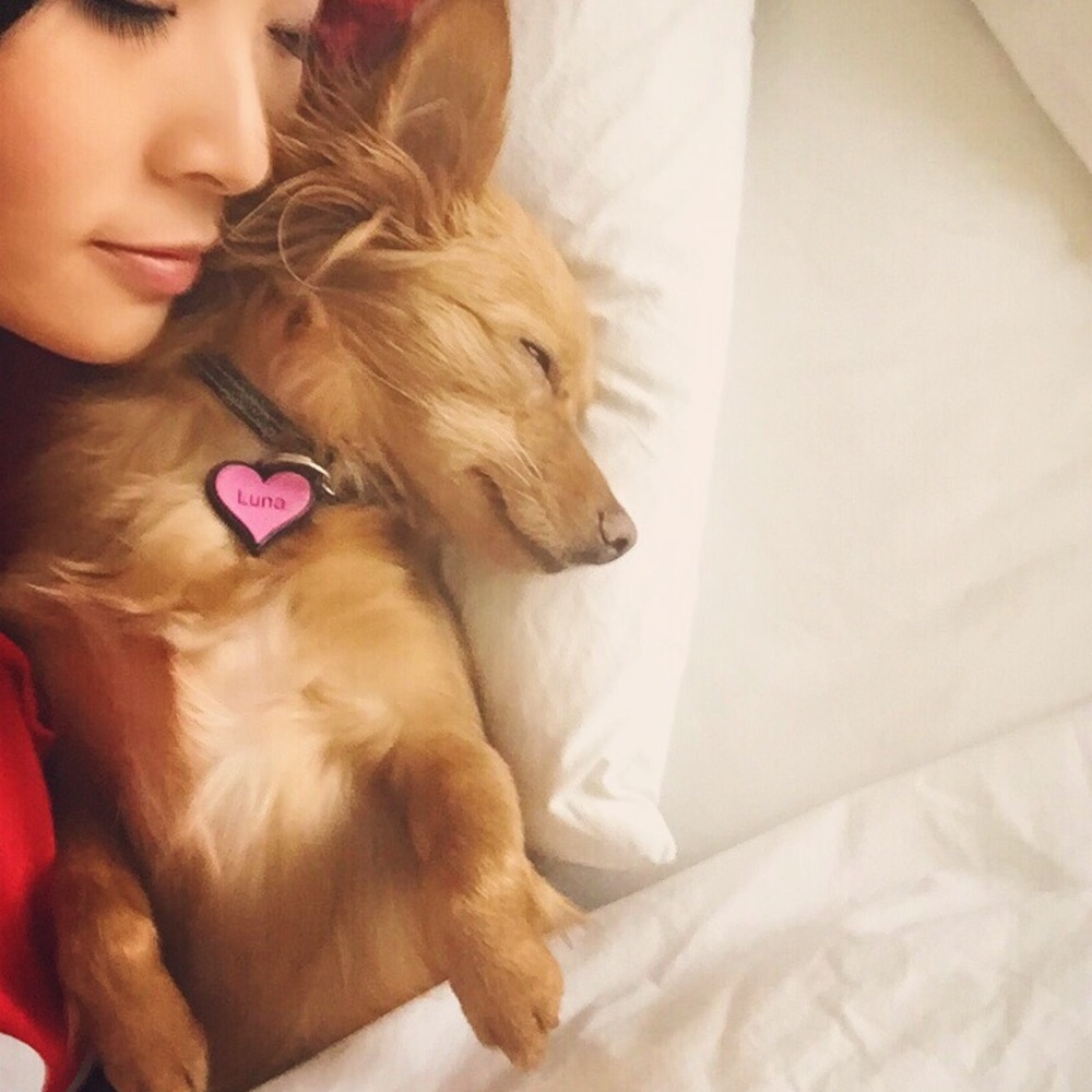 This is Luna. - Picture 6 of 7