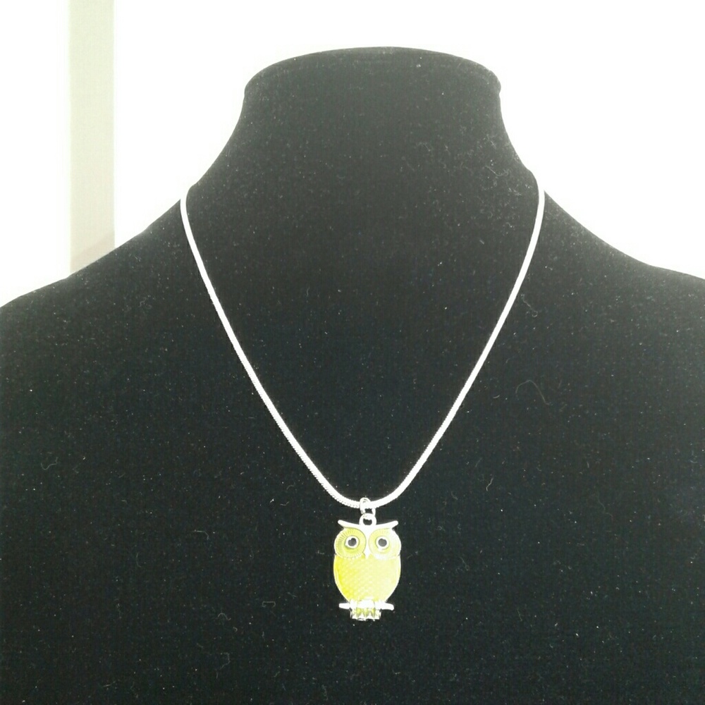 Necklace with Owl Pendant