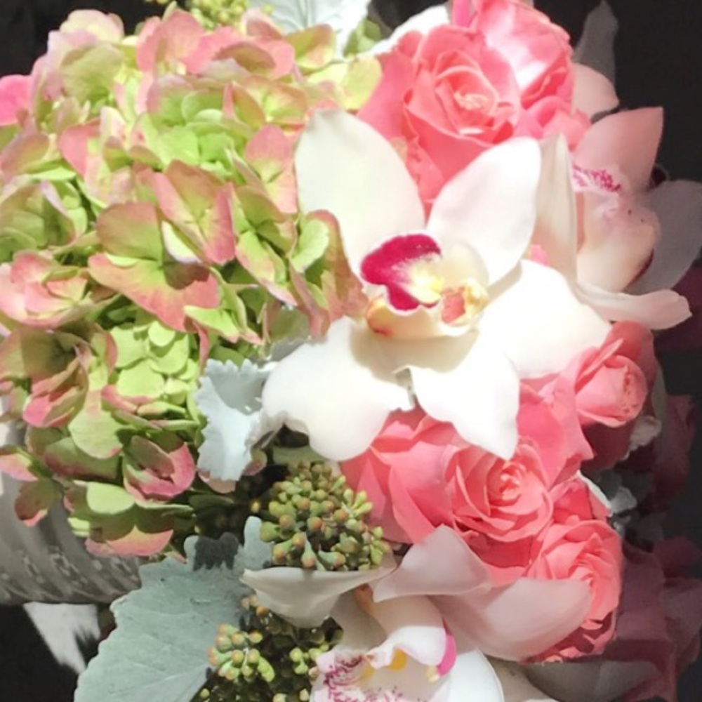 Meet your Posher, Mari