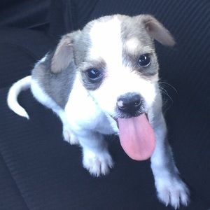 Meet your Posher, Liz