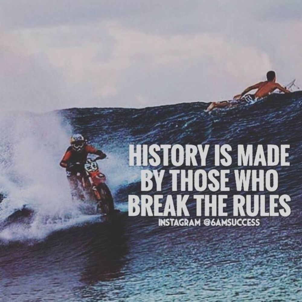 Meet your Posher, Amelia