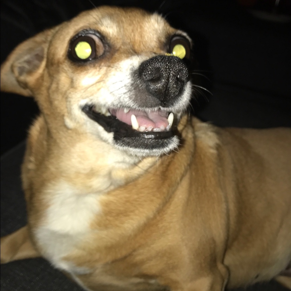 Meet your Posher, Todd