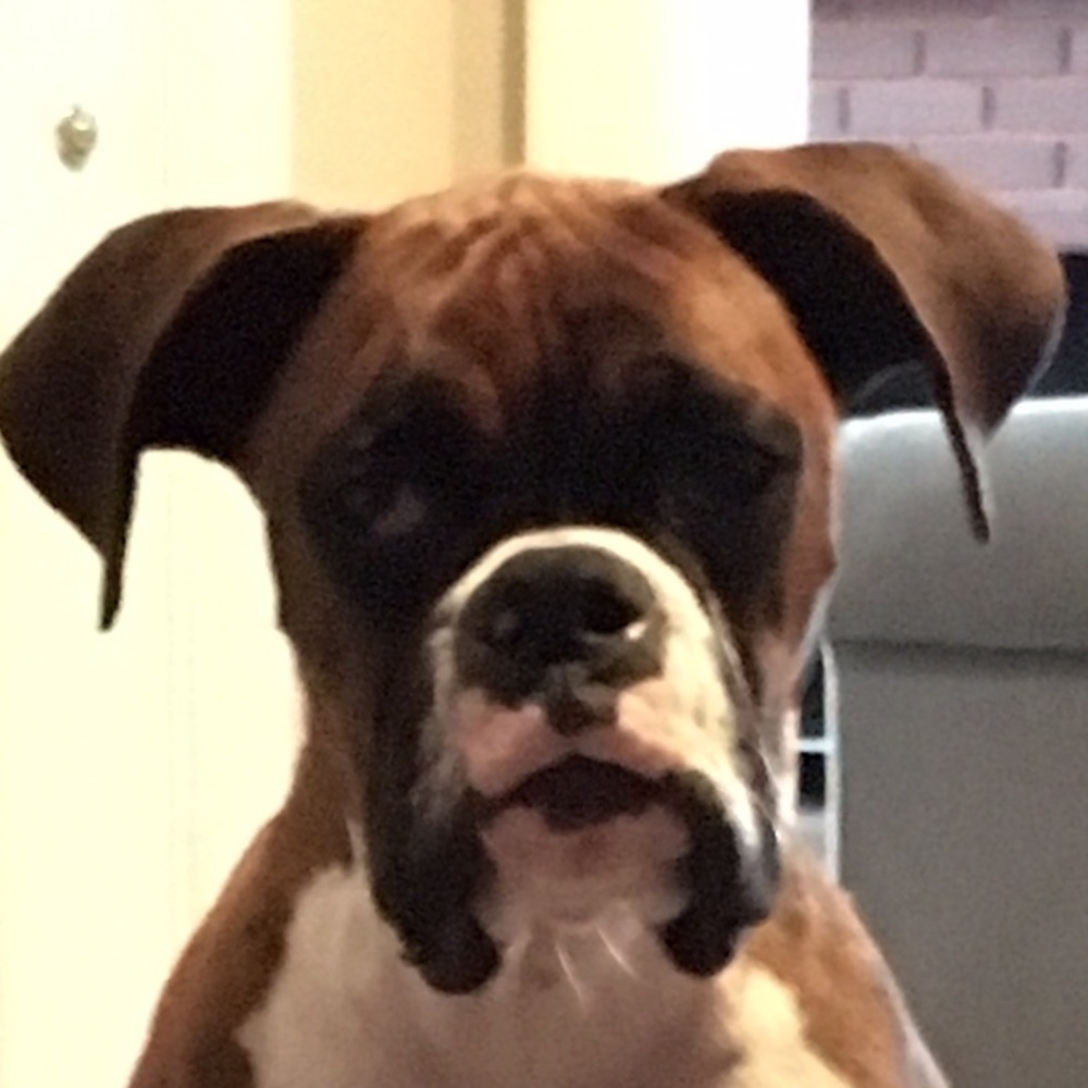 Meet your Posher, Greg