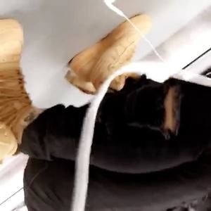 Meet your Posher, Maritza