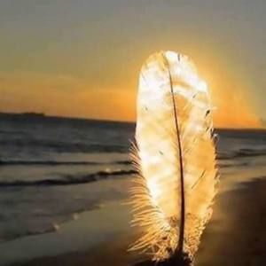 Meet your Posher, Carolina