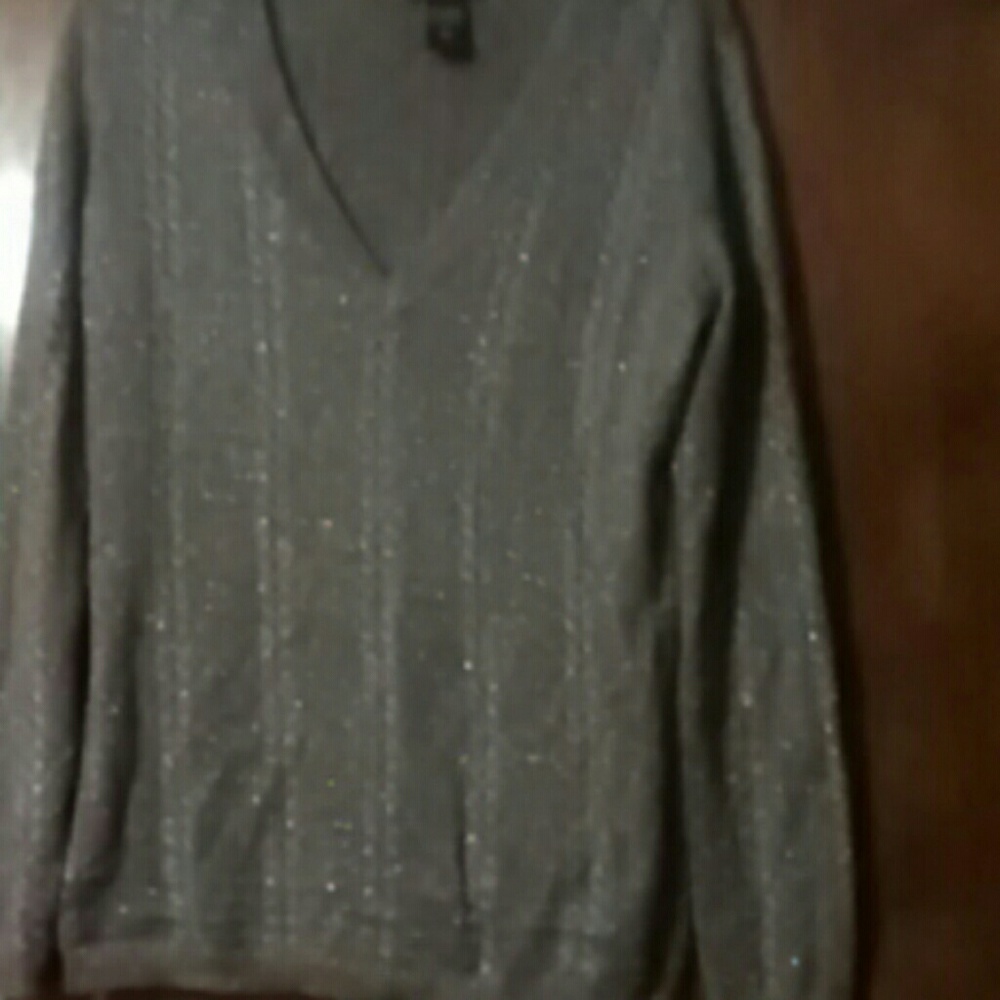 Glittery/Shimmering Vneck sweater