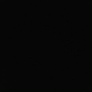 Meet your Posher, Calvin