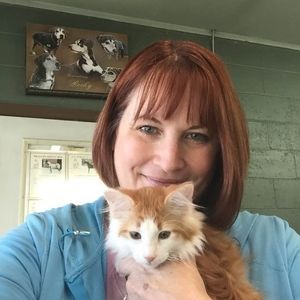 Meet your Posher, Sandie