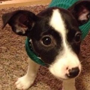 Meet your Posher, Chloe