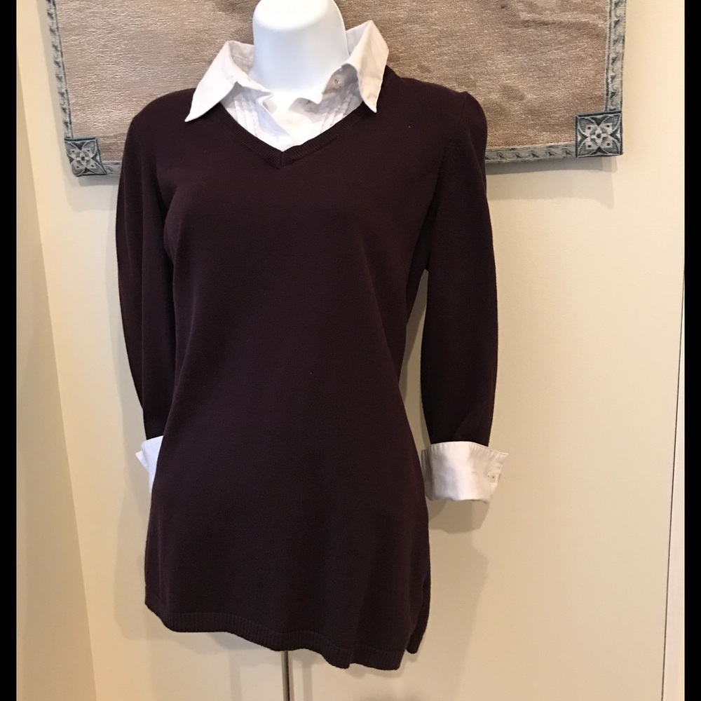 Plum 3/4 Sleeve Sweater with Collar