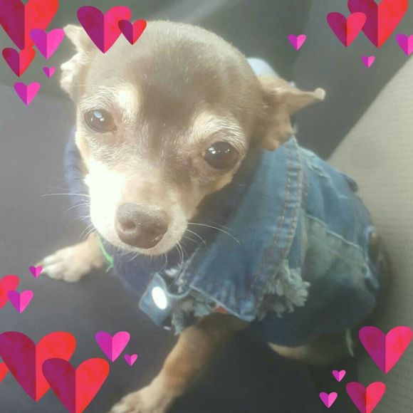 Meet your Posher, Melissa - Picture 1 of 1