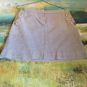 J Crew Skirt