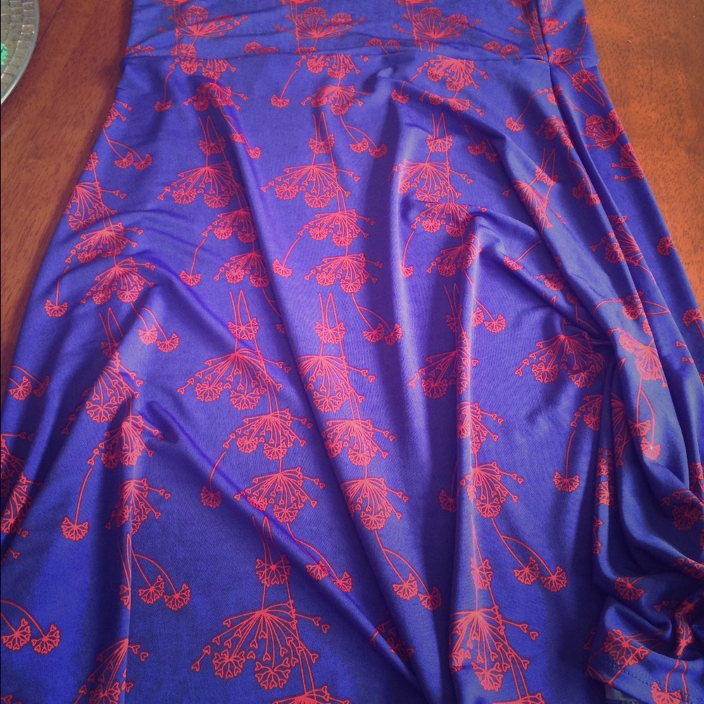 LuLaRoe Azure skirt!