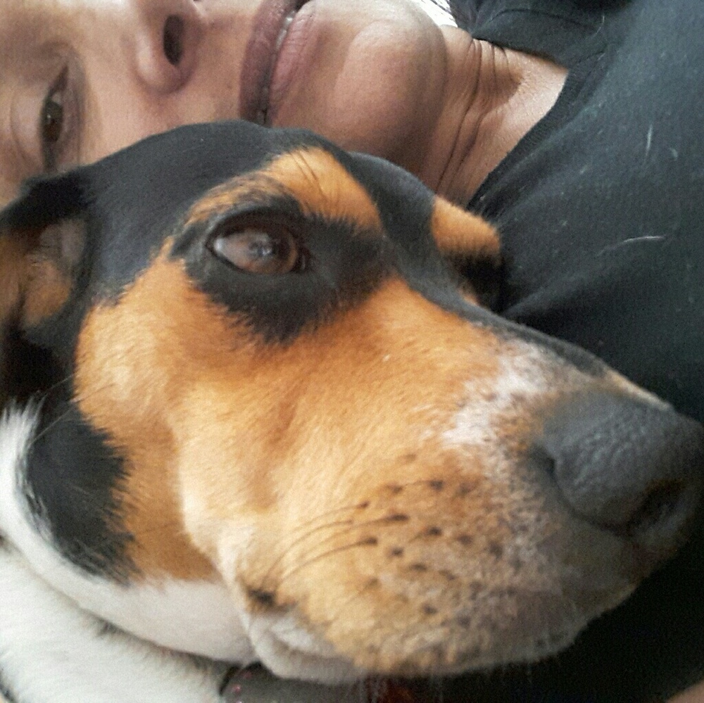 Meet your Posher, Pepita.