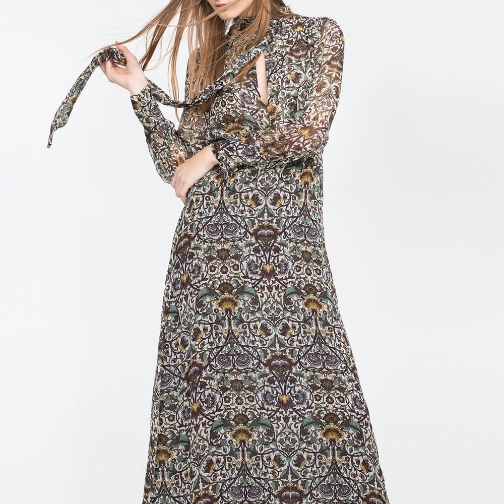 ZARA Woman Sheer Printed Long Sleeve Maxi Dress - Picture 3 of 5
