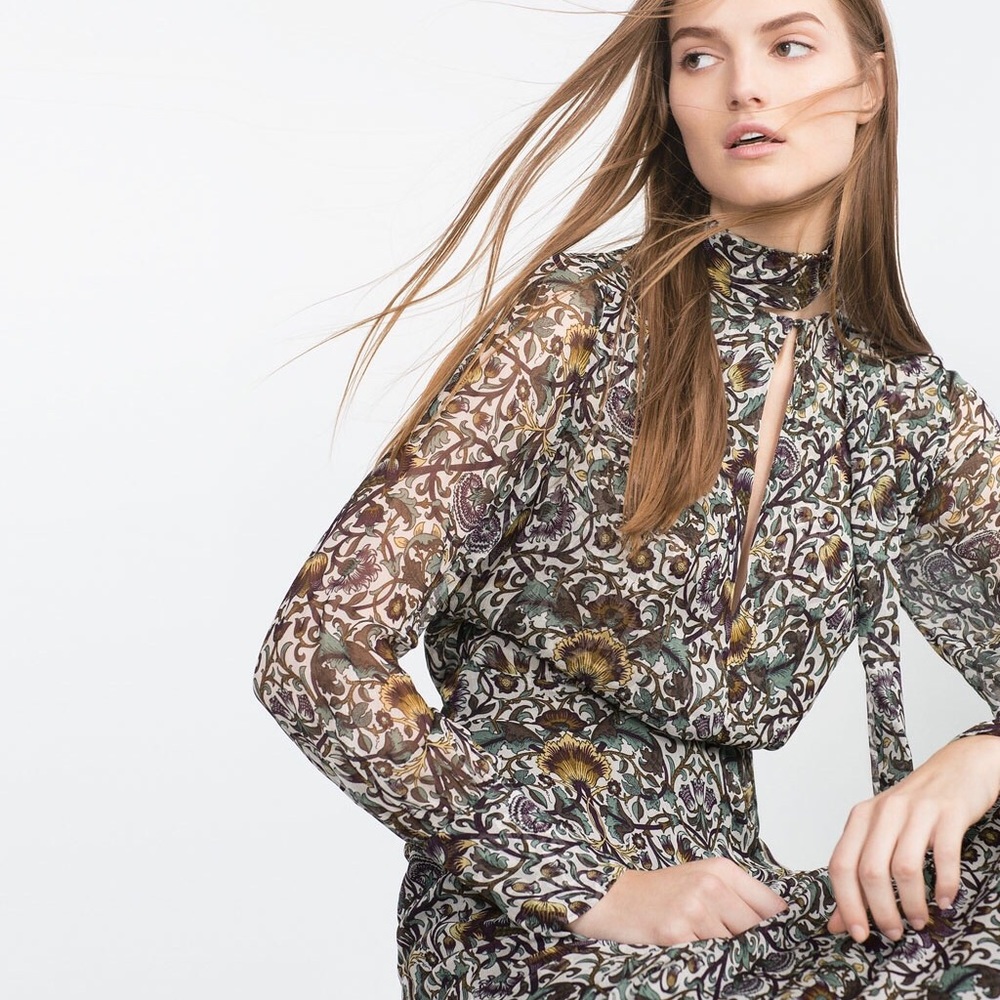 ZARA Woman Sheer Printed Long Sleeve Maxi Dress - Picture 5 of 5