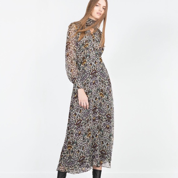 Zara Dresses & Skirts - ZARA Woman Sheer Printed Long Sleeve Maxi Dress