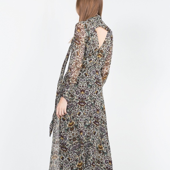 ZARA Woman Sheer Printed Long Sleeve Maxi Dress - Picture 2 of 5