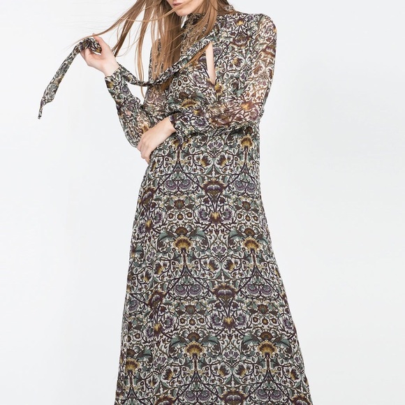 ZARA Woman Sheer Printed Long Sleeve Maxi Dress - Picture 3 of 5