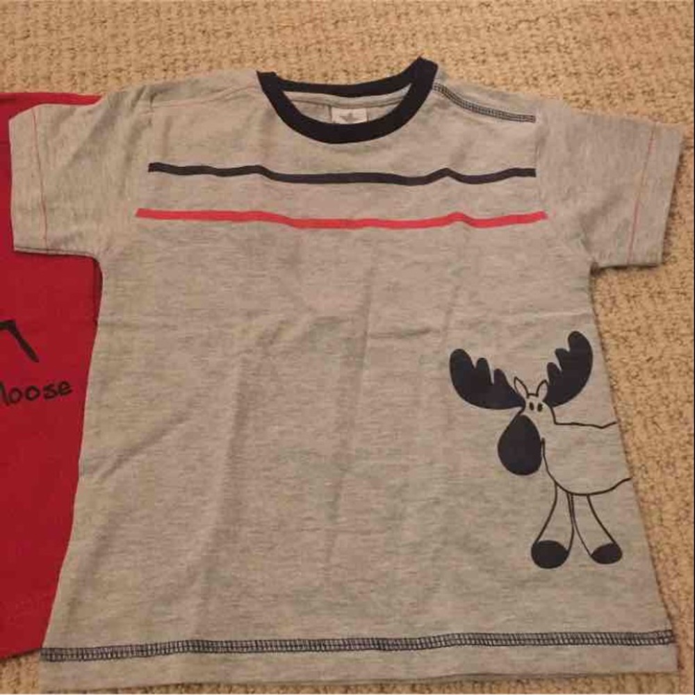 Pair of toddler T-shirts, brand new 2T