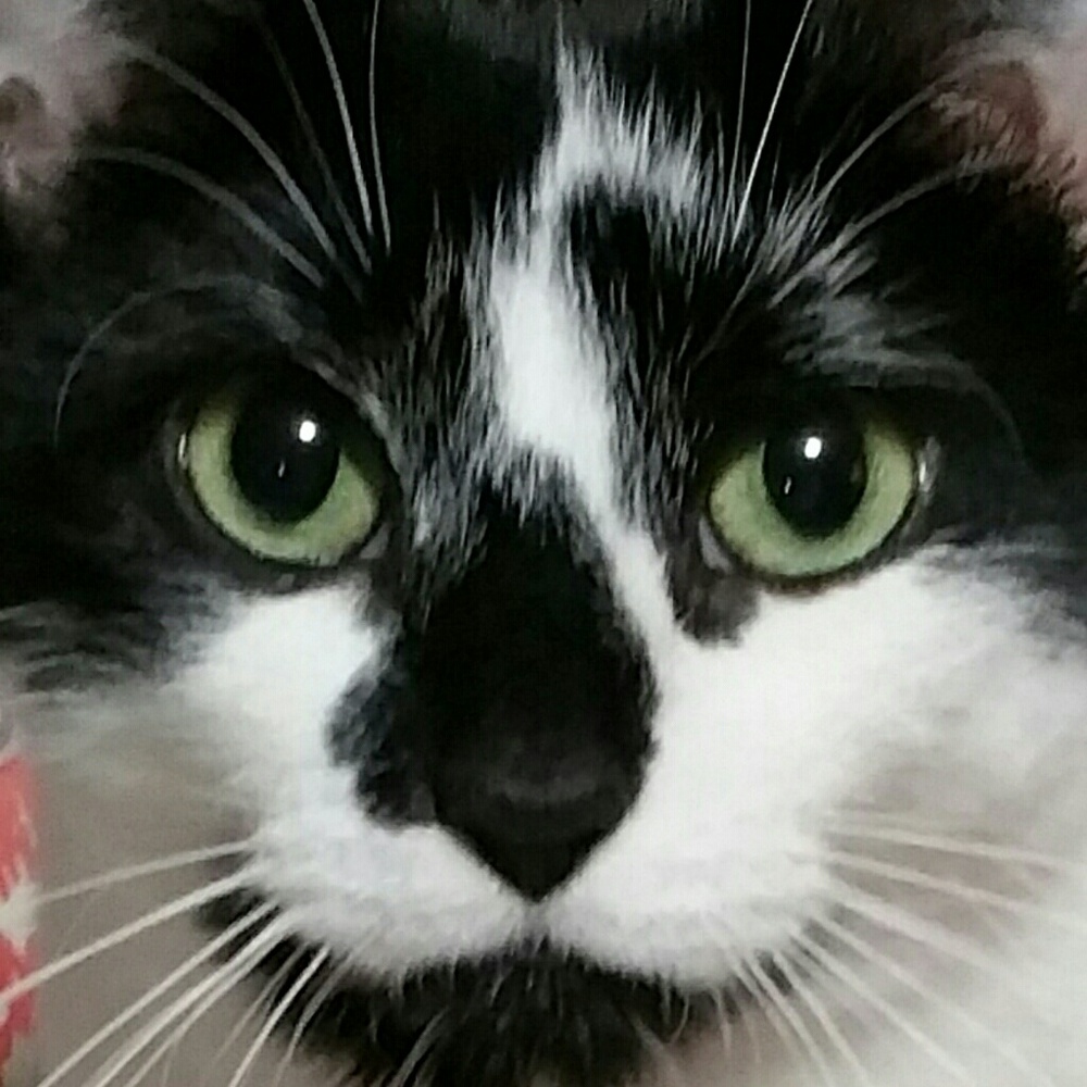 Meet your Posher, Christine