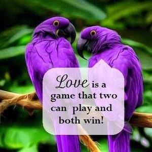 Meet your Posher, Sandy