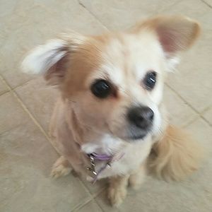 Meet your Posher, Kristen