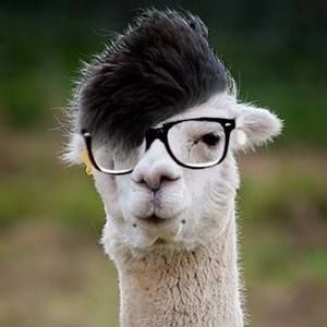 Meet your Posher, Debra