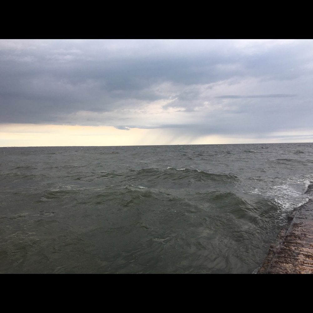 Meet your Posher, Alani