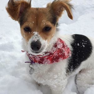 Meet your Posher, Melanie