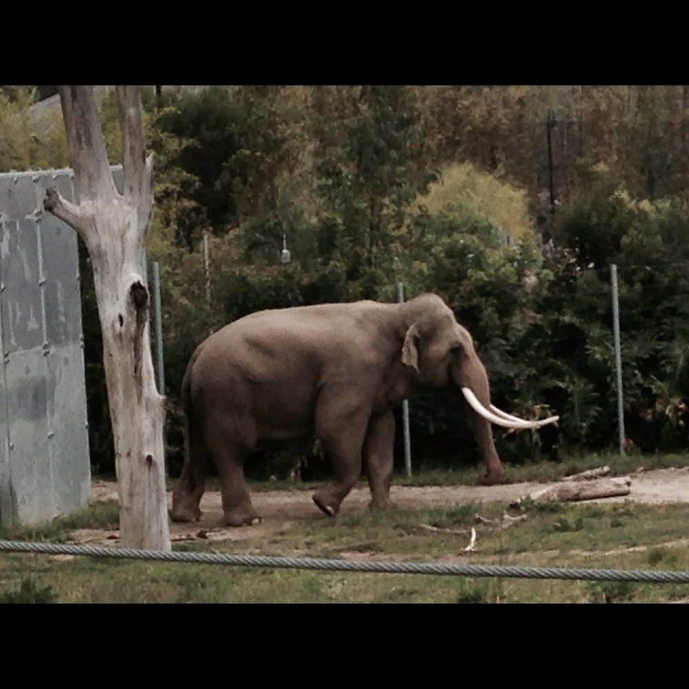 Meet your Posher, Bronwyn