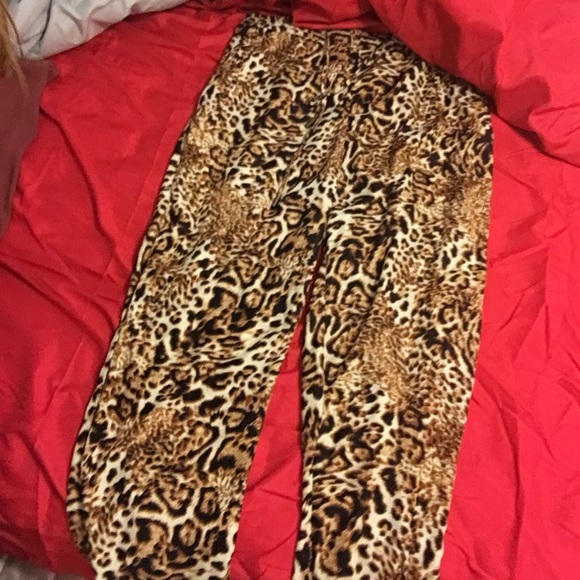 Cheetah pants - Picture 1 of 1