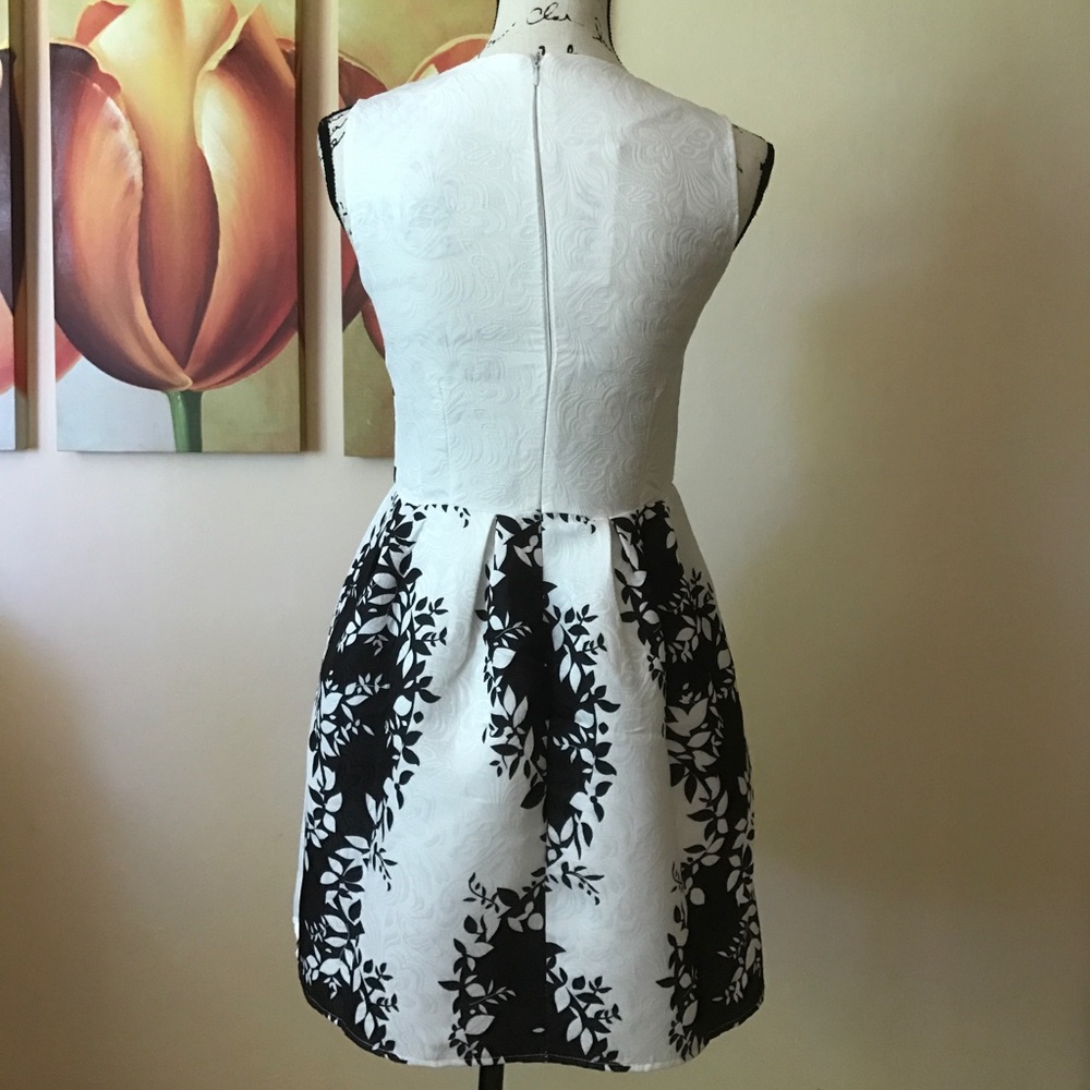Climbing Vines Fit & Flare Dress - Picture 6 of 8